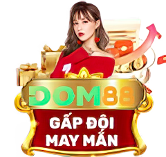 dom88-banner